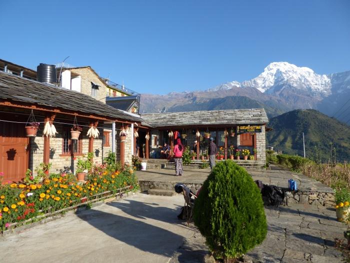 Himalayan Teahouses