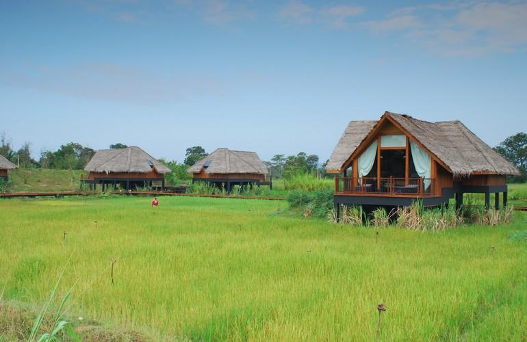 Dwellings over paddy, Jetwing Vil Uyana