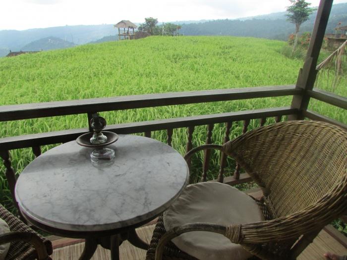 Views from the terrace, Puri Lumbung
