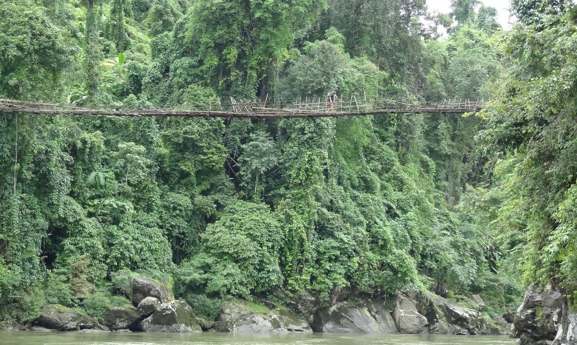 Hanging bridge, Putao