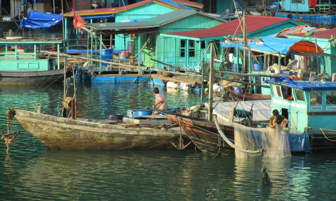Fishing village, Halong Bay