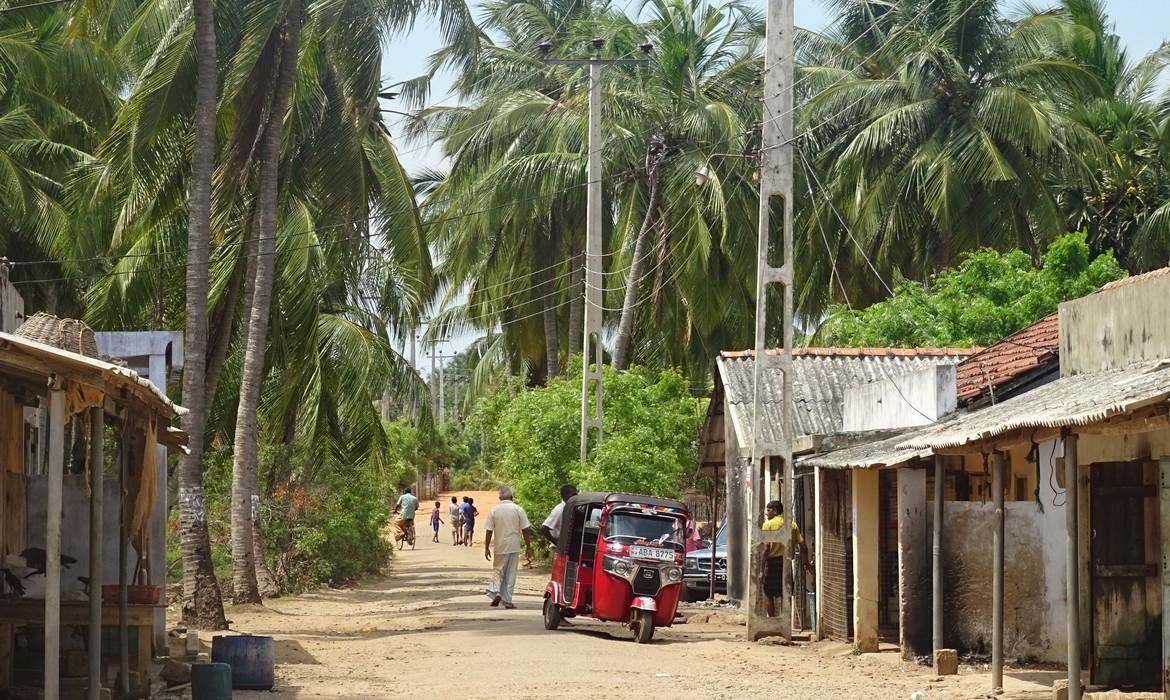 Local houses, Kalpitiya