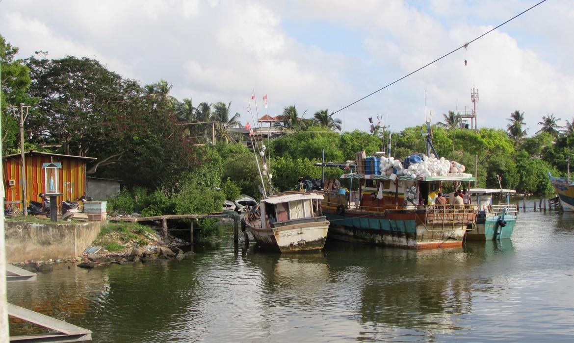 Boats, Negombo
