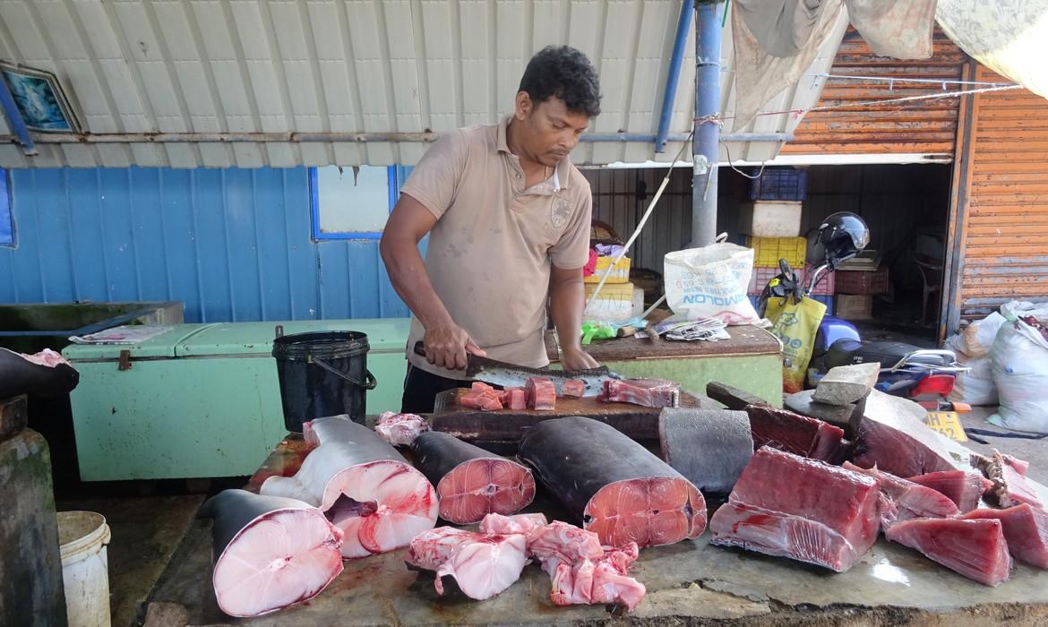 Fish market, Negombo