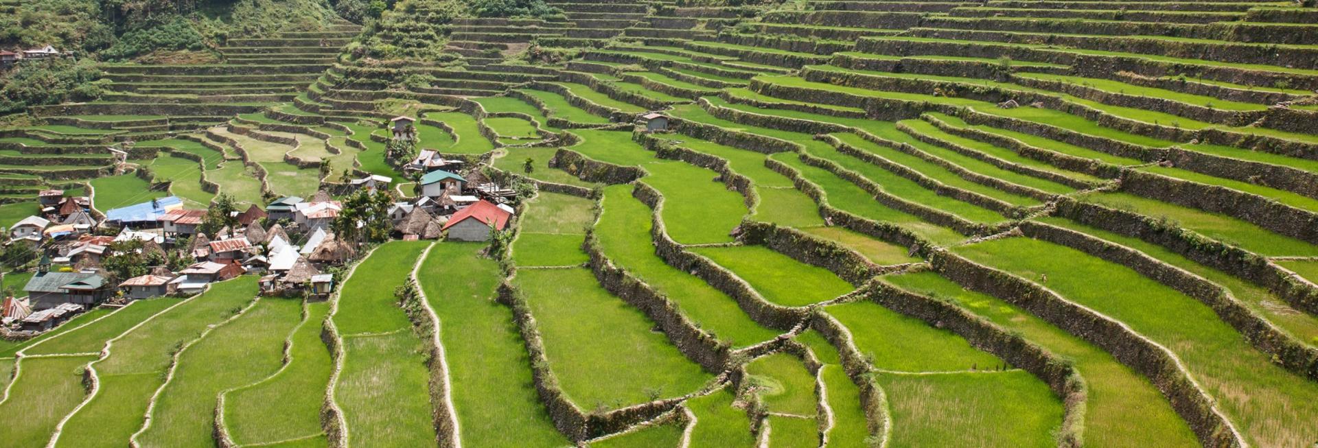 Village on rice terraces, Banuae, the Philippines