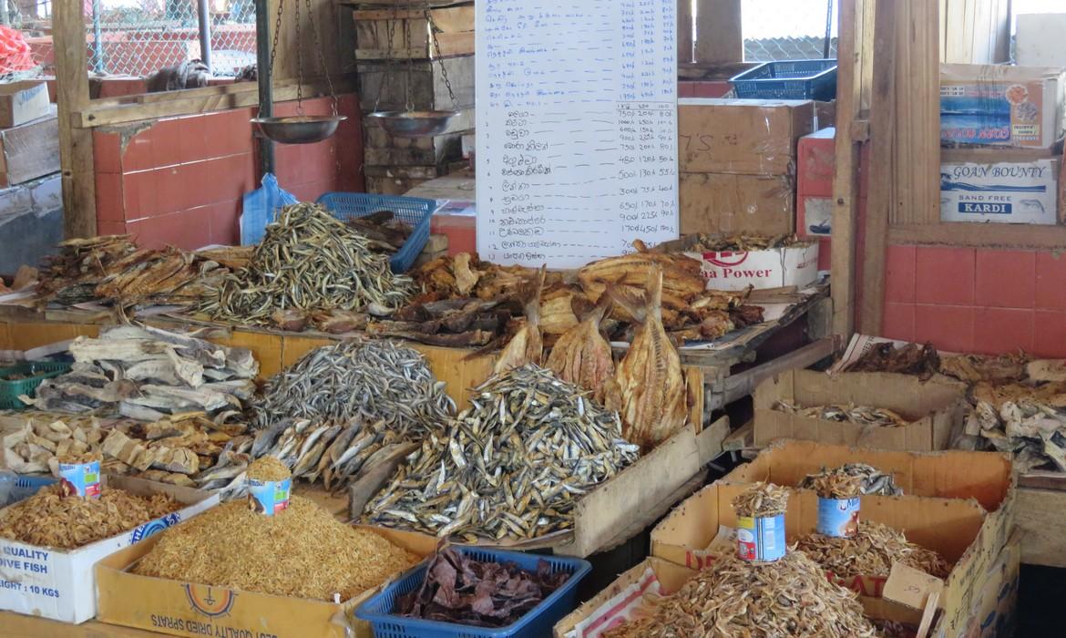 Fish market, Trincomalee