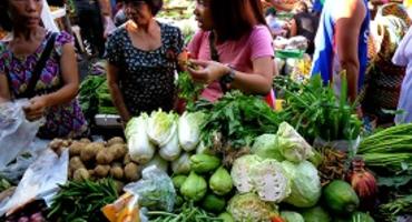 Local Market, Negros, the Philippines