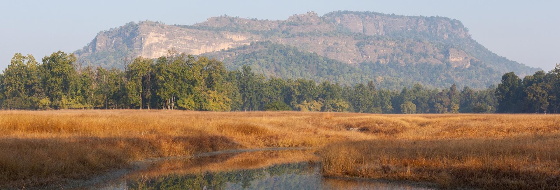 Landscape, Bandhavgarh National Park