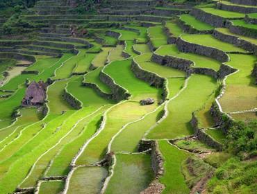 Rice terraces, Banaue, the Philippines
