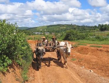 Local farmers, Kalaw