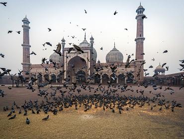 Jama Masjid, Old Delhi