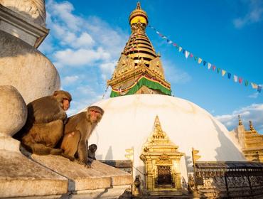 Monkey Temple, Kathmandu