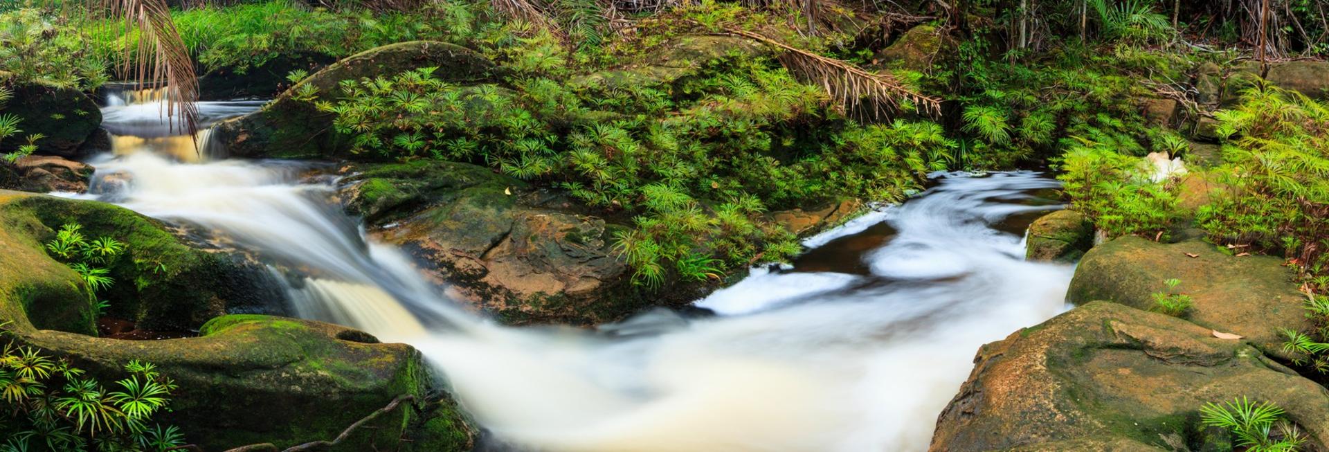 Small stream, Bako National Park