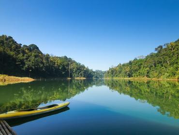 Belum Temengor Rainforest Reserve