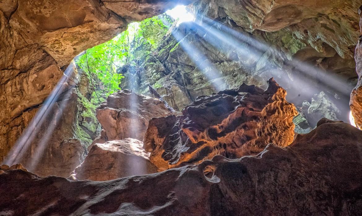 Cave, Bukit Lawang