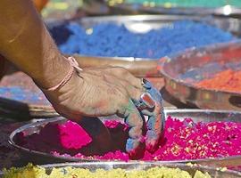 Picking colourful gulal powder for Holi