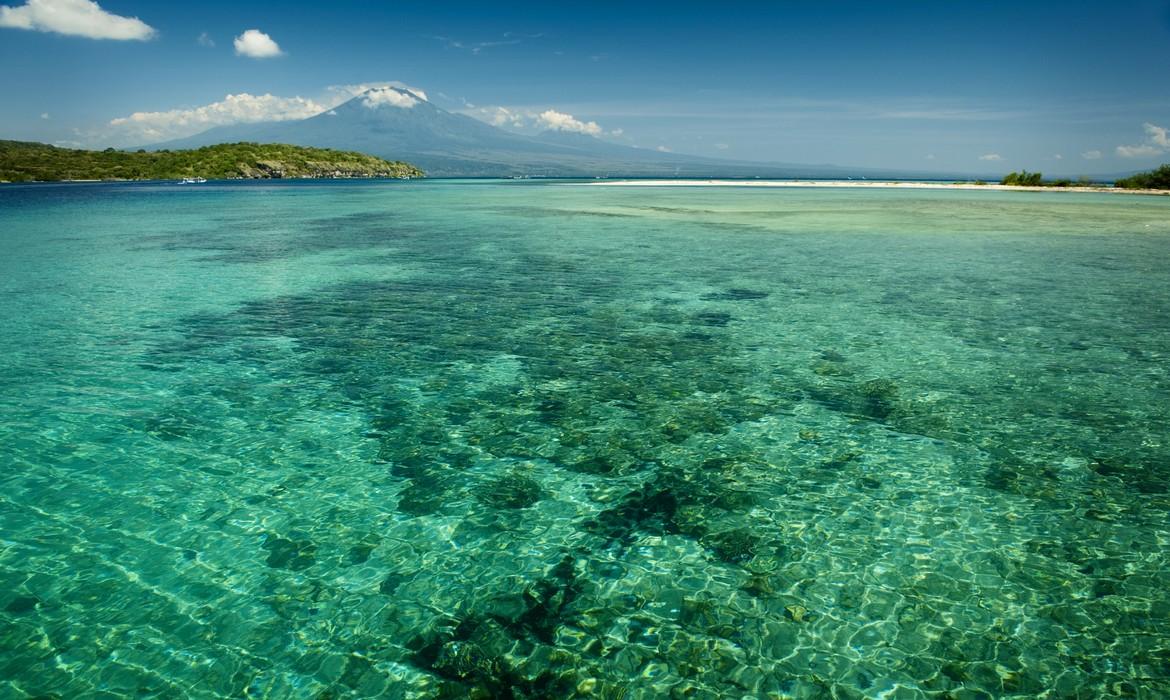 Coral reef, Menjangan Island