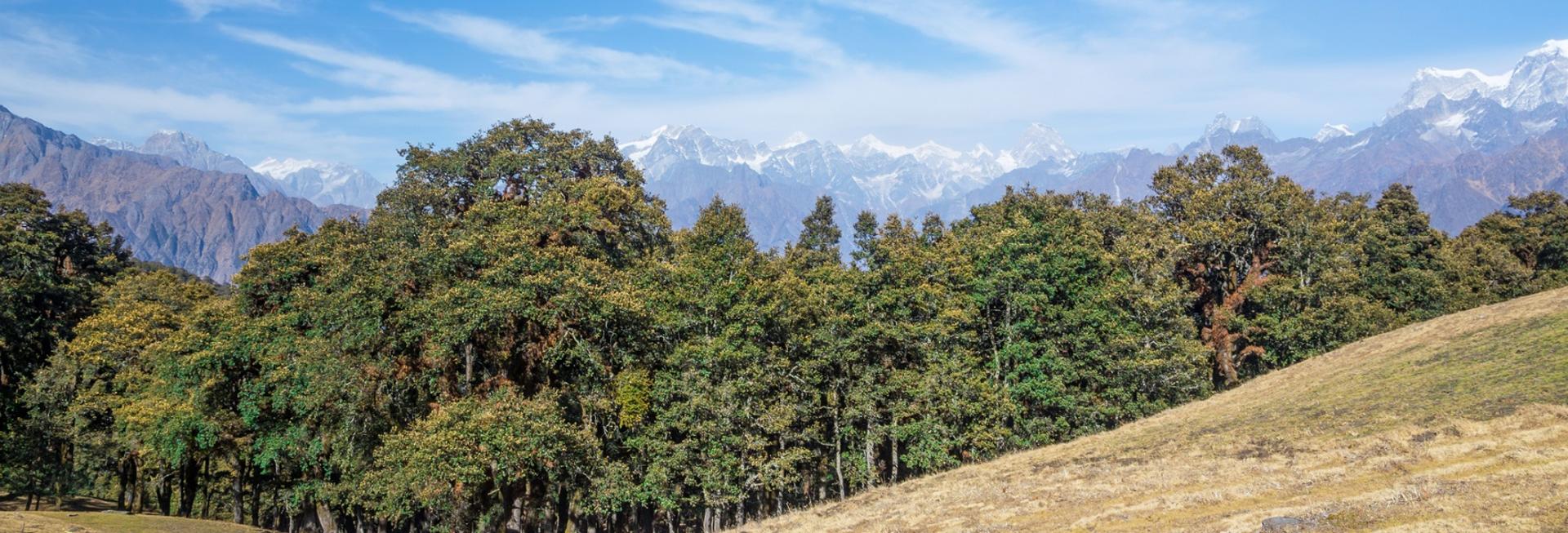 Trekking in Almora