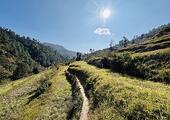 Himalayan Walking Safari