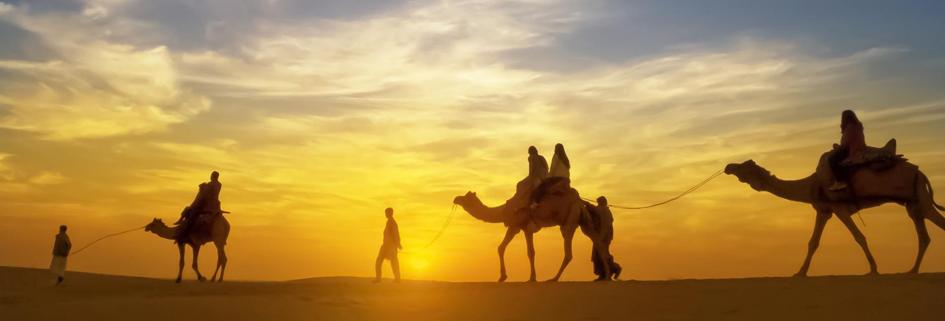 Camel safari, Thar Desert, India