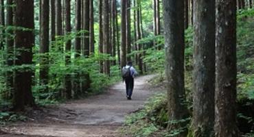 Nakasendo higway, Kiso Valley, Japan