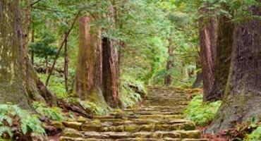 Kumano Kodo, Japan