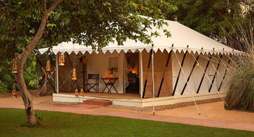 Tent, Sher Bagh, Ranthambore