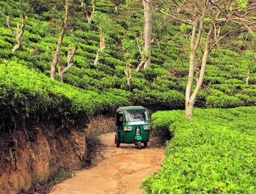 Sri Lankan tuk tuk