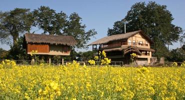 Diphlu River Lodge, Kaziranga National Park