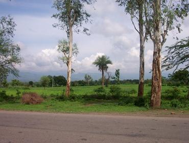 Rural Punjab