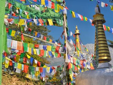 Buddhist Prayer flags, Dharamsala