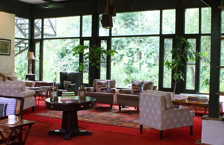 Living room, Jim's Jungle Retreat