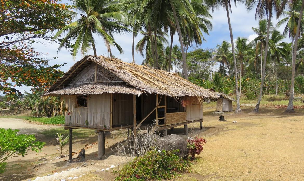 Traditional hut, Tufi