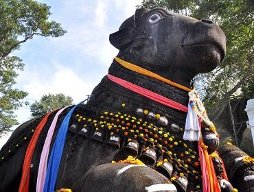 Nandi the Bull, Mysore