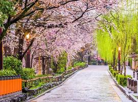 Kyoto in the springtime