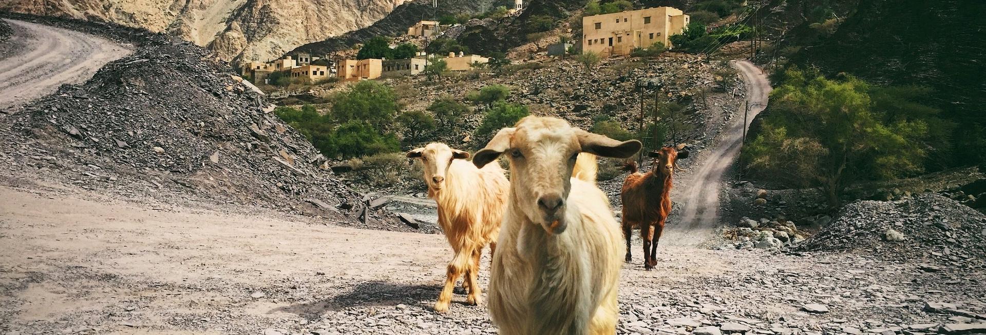 Jebel Akhdar