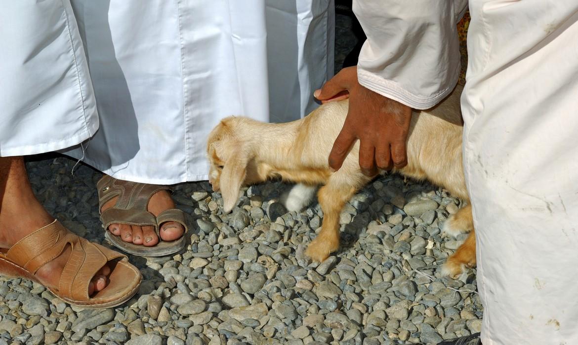 Goat market, Nizwa