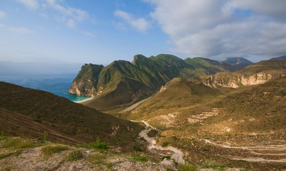 Landscape, Salalah