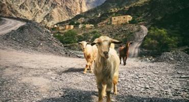 Three Villages Walk, Jebel Akhdar