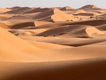 Sand dunes, Wahiba Sands