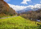 Hokkaido Self-Drive Adventure