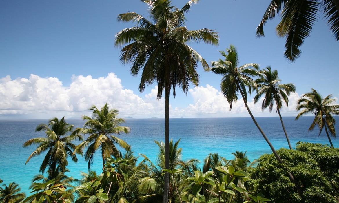 Palm trees, Fregate Island