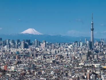 Skytree & Mt Fuji, Tokyo