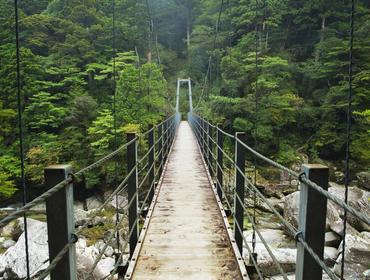 Rainforest Bridge, Yakushima