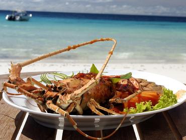 Lobster on a beach