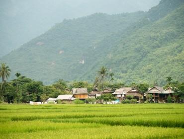 Mai Chau 