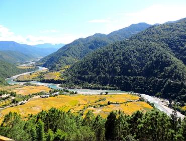 Punakha