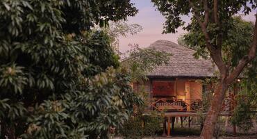 Jaagir Manor, Dudhwa