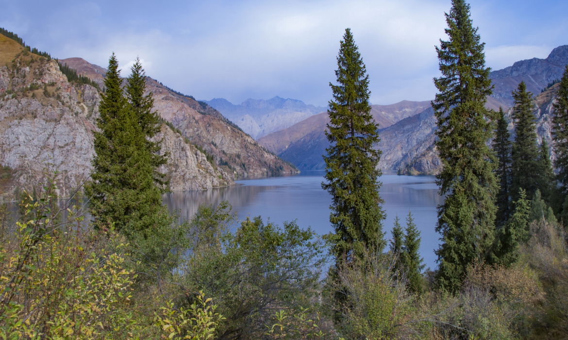 Sary Chelek National Park scenery