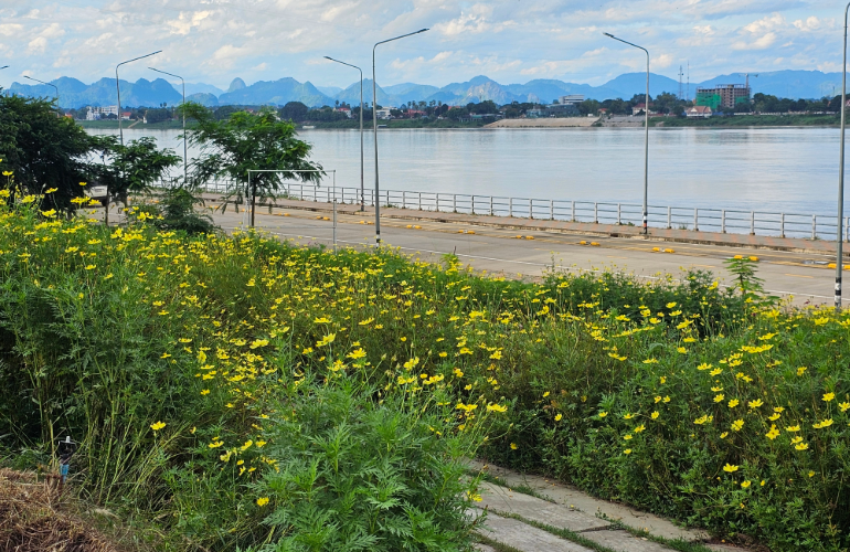 View of Laos from hotel